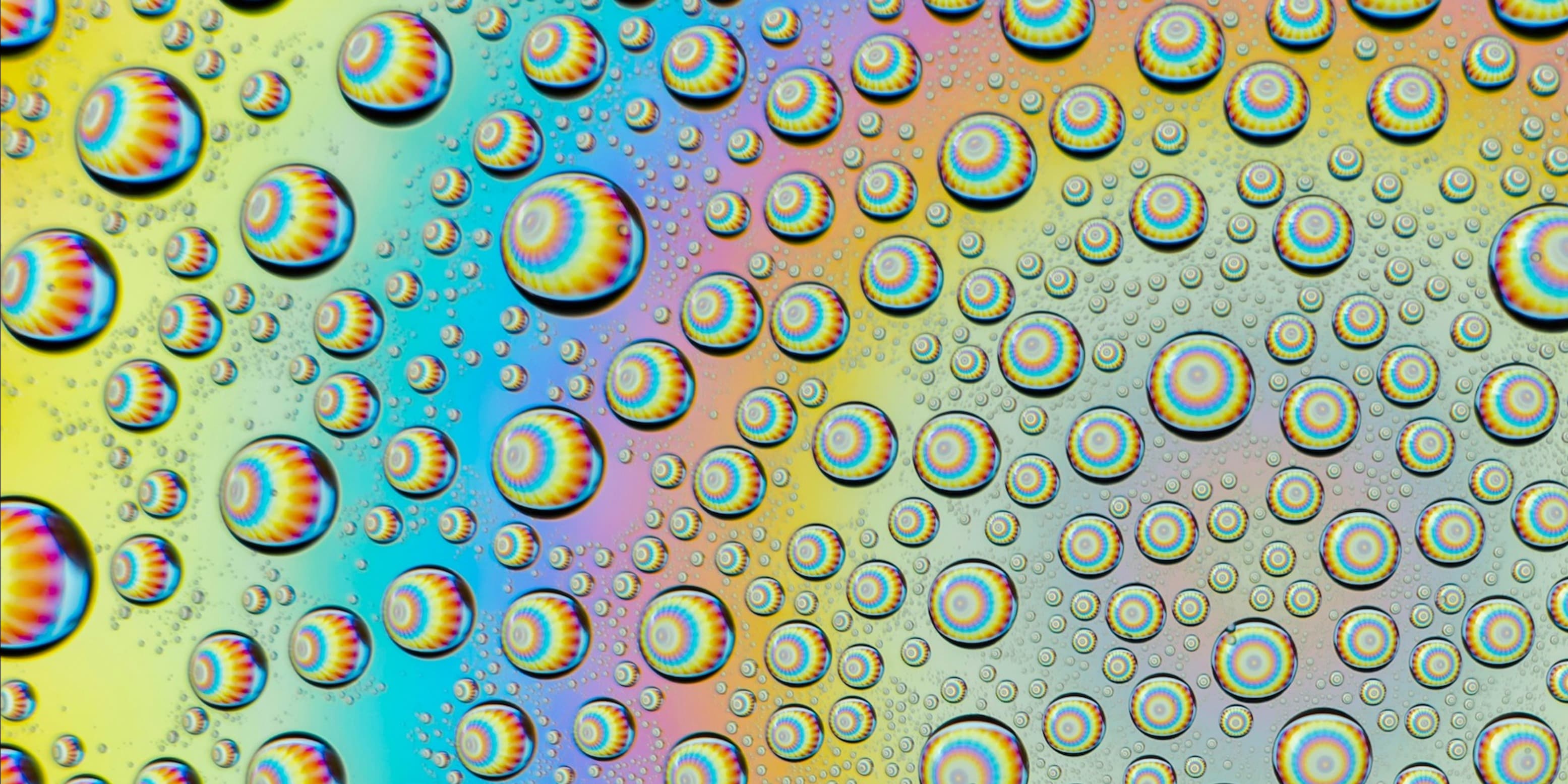 Cover photo